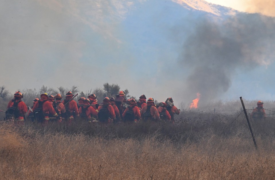 Firefighters battling a wildfire.