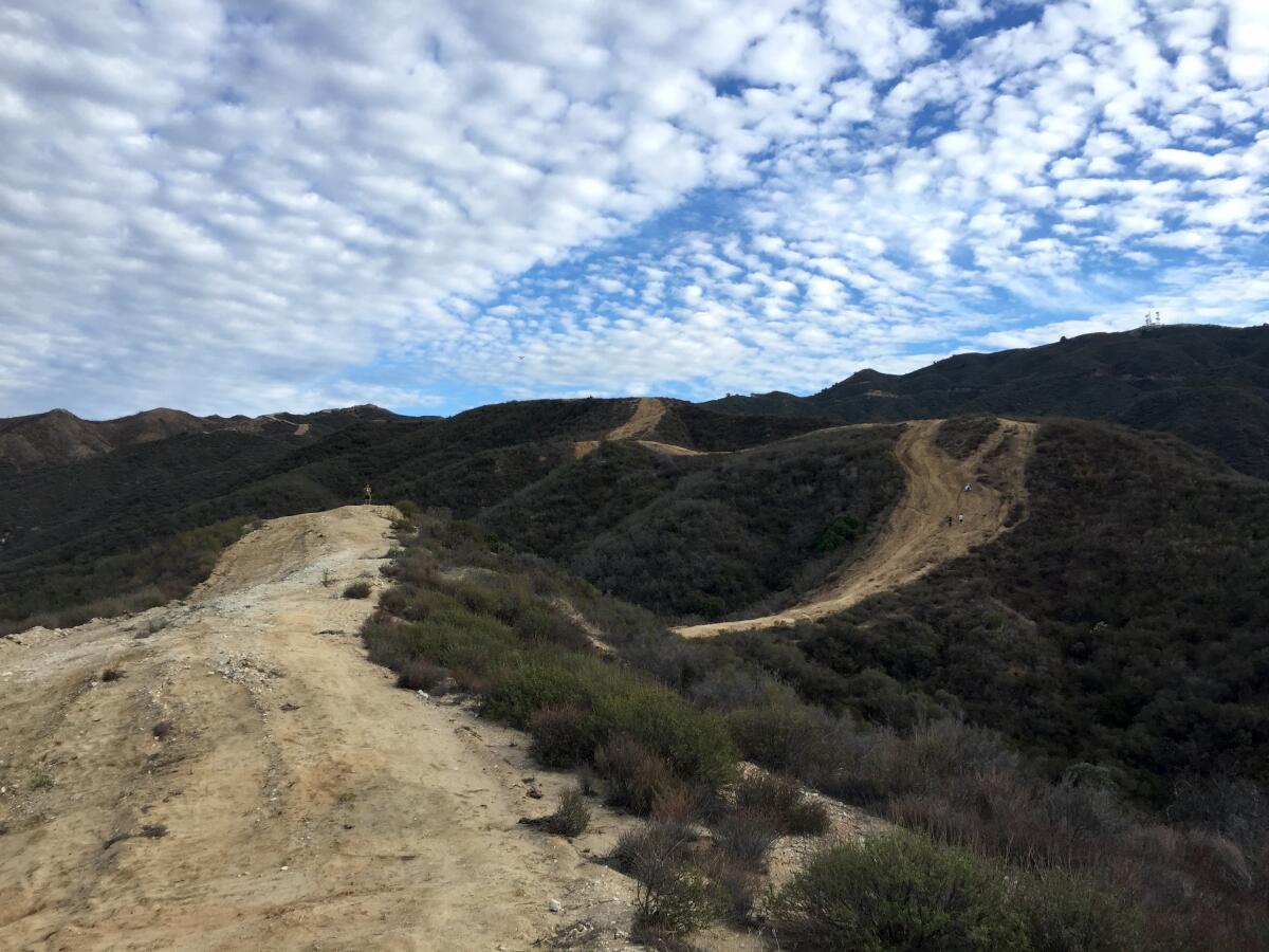 A dusty, brown trail follows the ridge of Placerita Canyon.