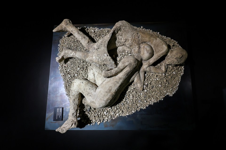 Body casts of two Pompeii victims embracing.