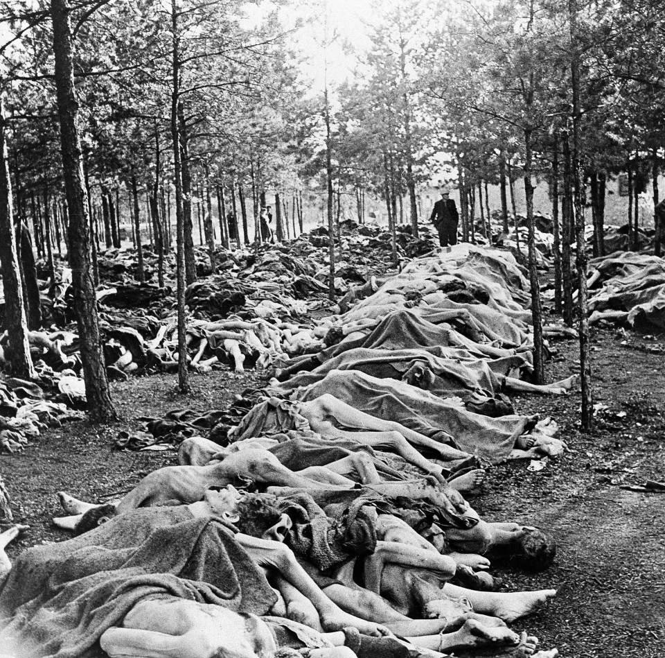 Rows of bodies covered in blankets in a forest.