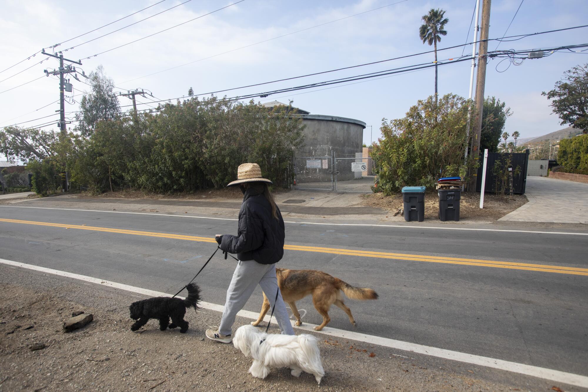 A woman walks three dogs past the Lower Busch Tank 