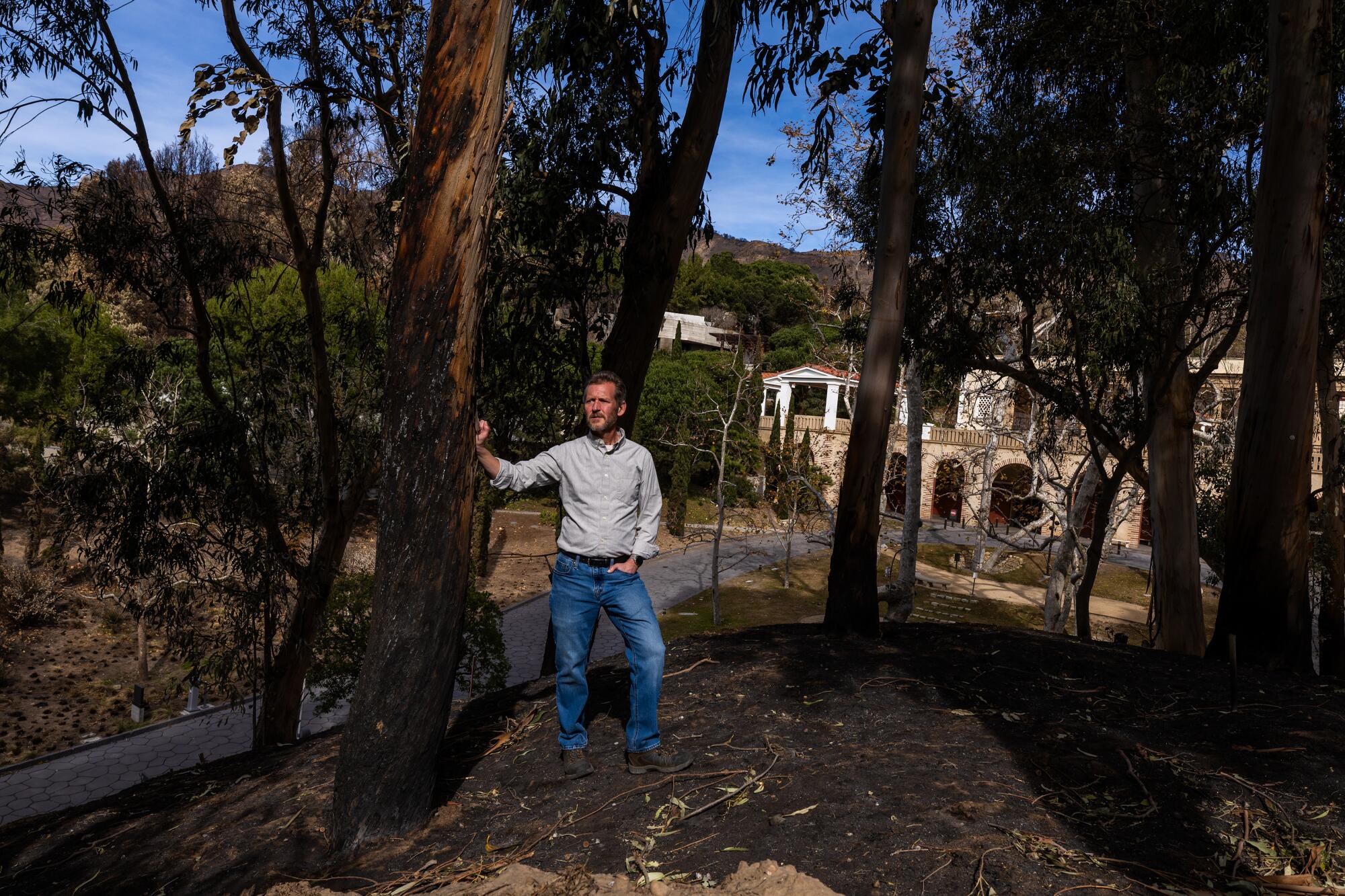 A man stands next to a scorched tree, a large building behind him.