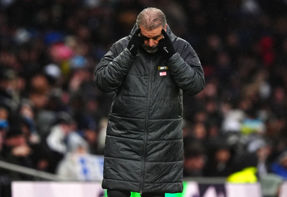 Ange Postecoglou reacts during a soccer match.