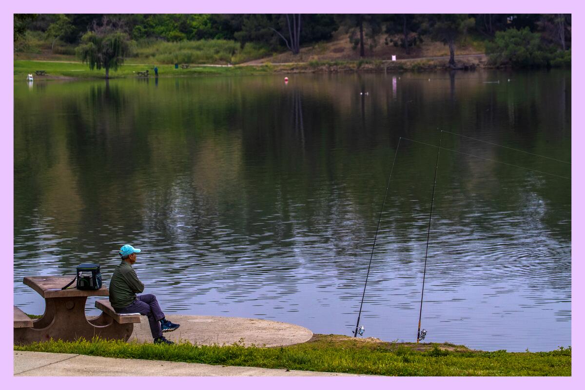 A man on a bench near a lake waits for a fish to bite the line of his fishing rods.