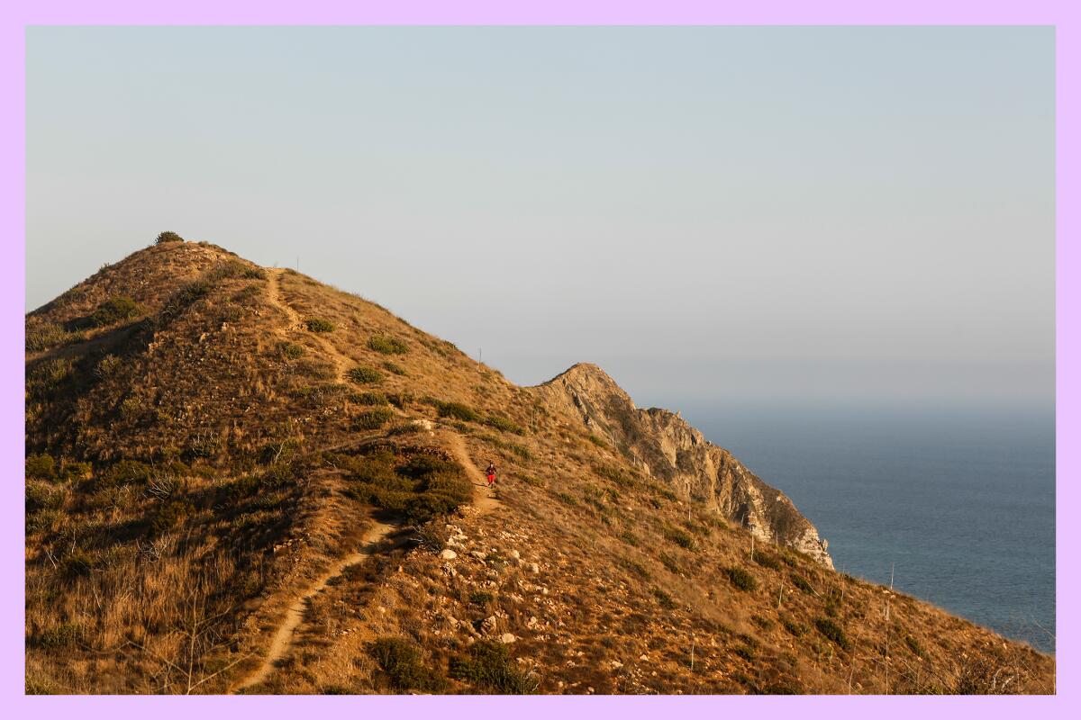 A rocky mountainside gives way to the ocean in the distance.