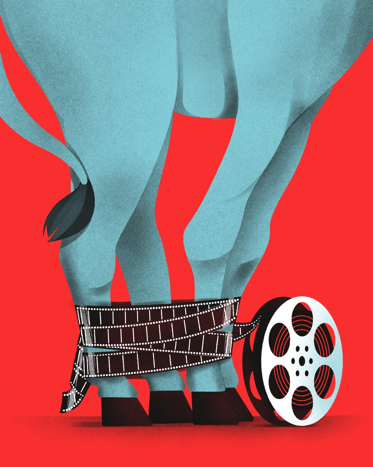 Illustration of a donkey's legs wrapped with a film strip from a movie reel