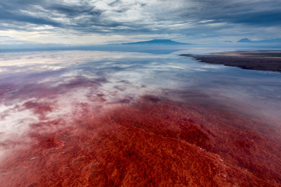 Aerial view of Lake Natron in Tanzania, showing red algae and salt formations.