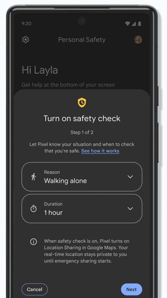 Screenshot of Pixel phone's safety check setup.