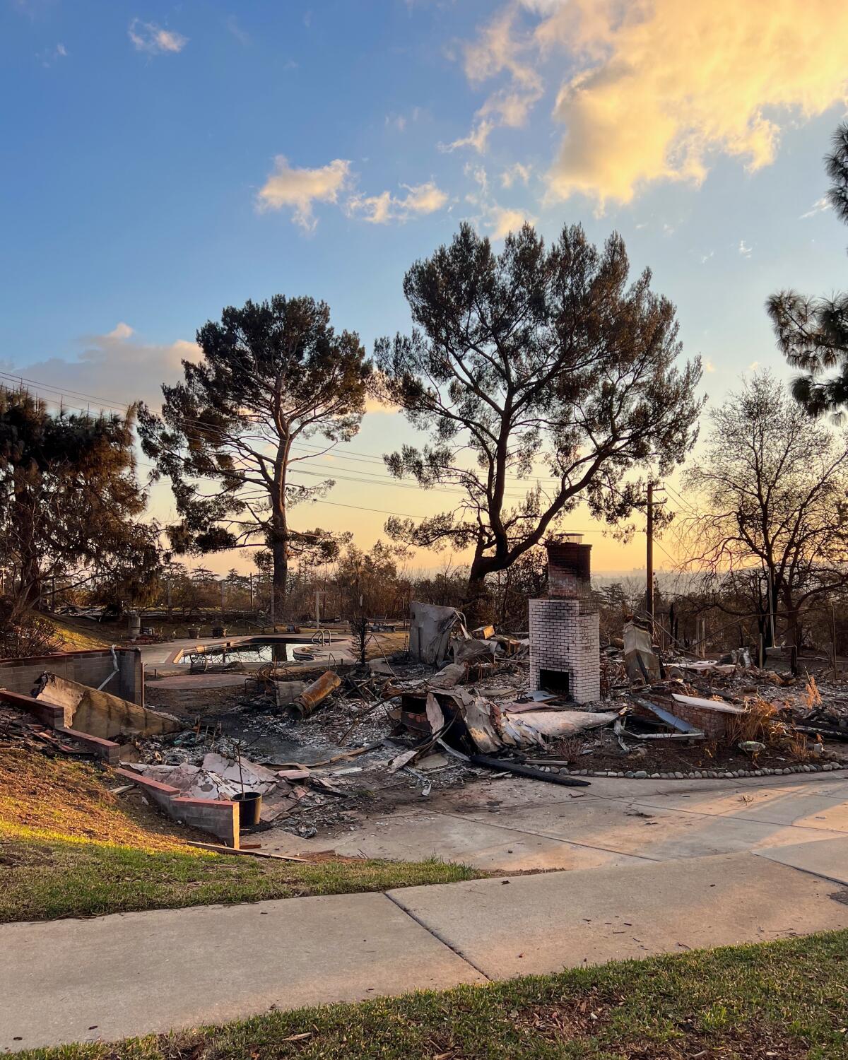 A home on Loma Alta Drive in Altadena burned in the Eaton fire without any apparent harm to the surrounding conifers.