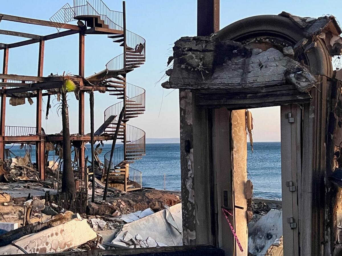 A lone green frond on a charred palm tree next to the ruins of burned homes along Las Flores Beach in Malibu. 