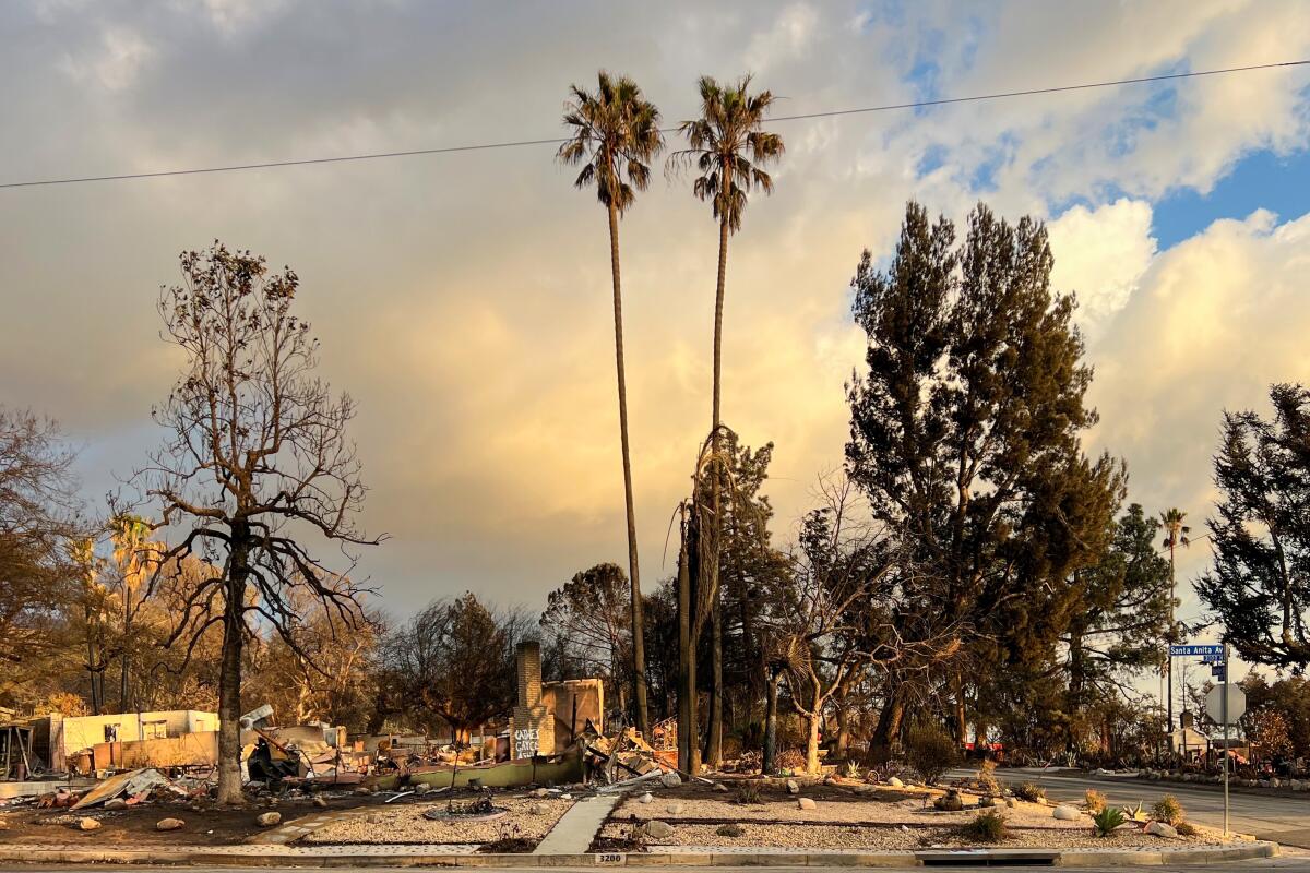 An Altadena house with a xeriscape landscape still burned in Eaton fire, while nearby conifers and palms survived. 