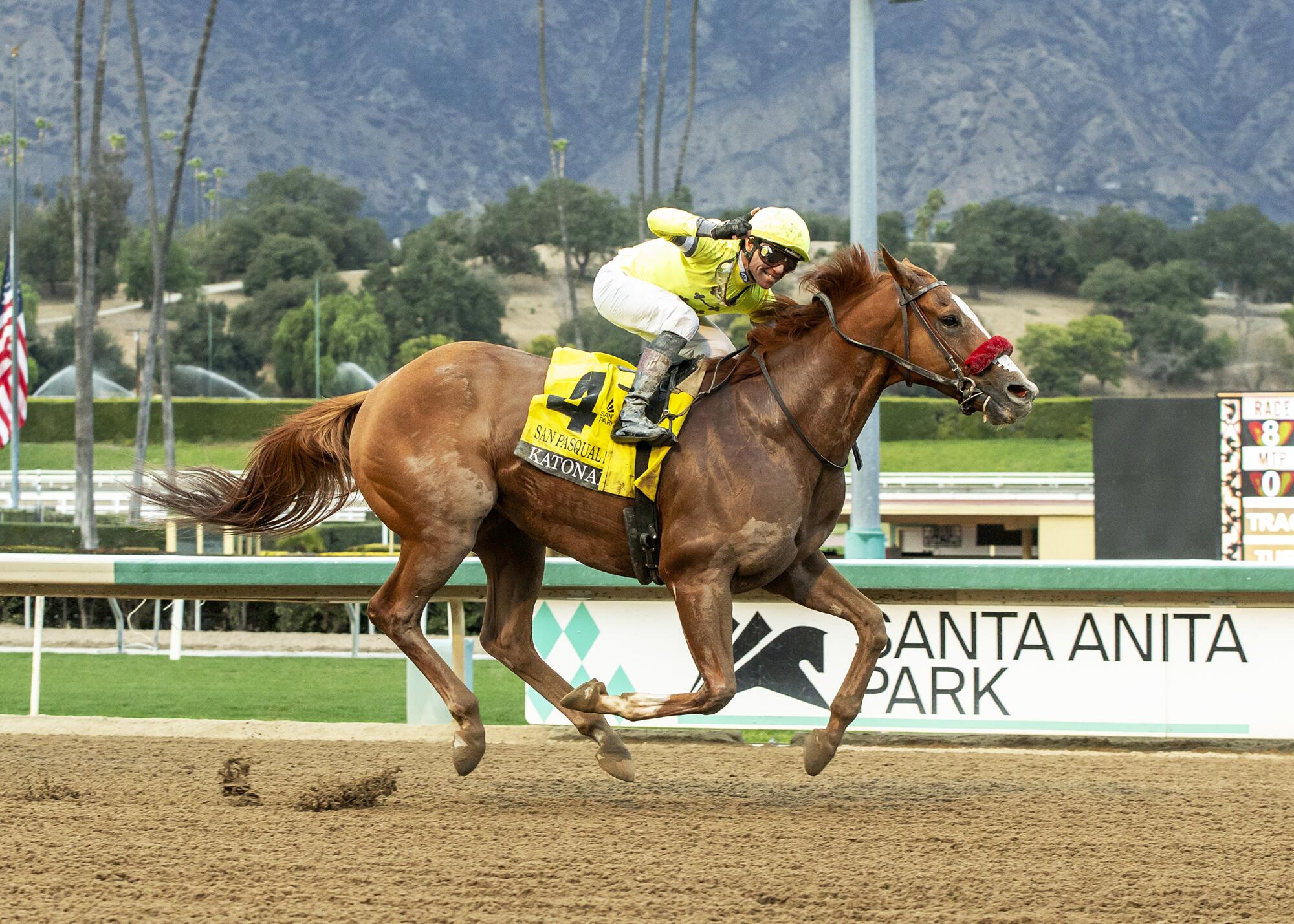 Jockey Tiago Pereira guides Katonah to a win in the Grade II $200,000 San Pasqual Stakes horse race