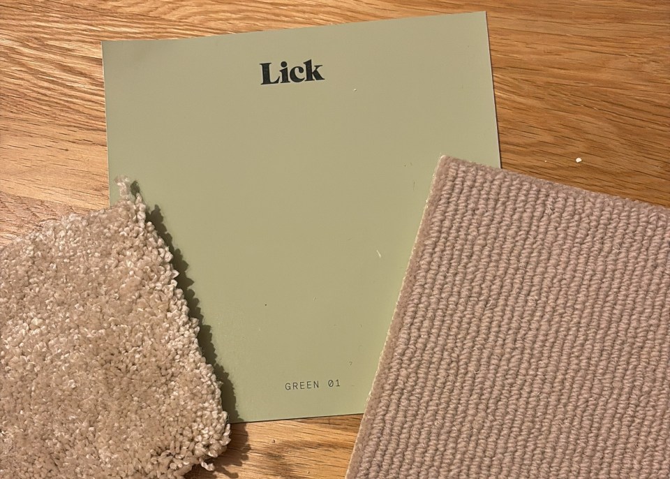 Lick paint sample alongside carpet samples.