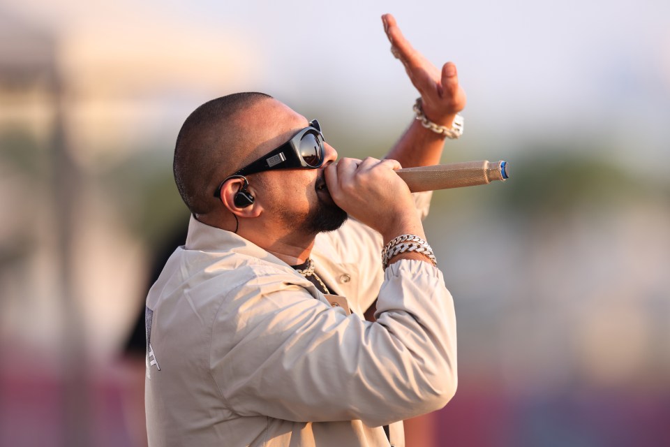 Sean Paul performing on stage.