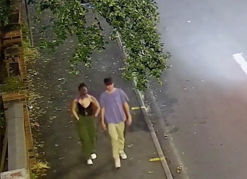 CCTV footage of two students walking home.