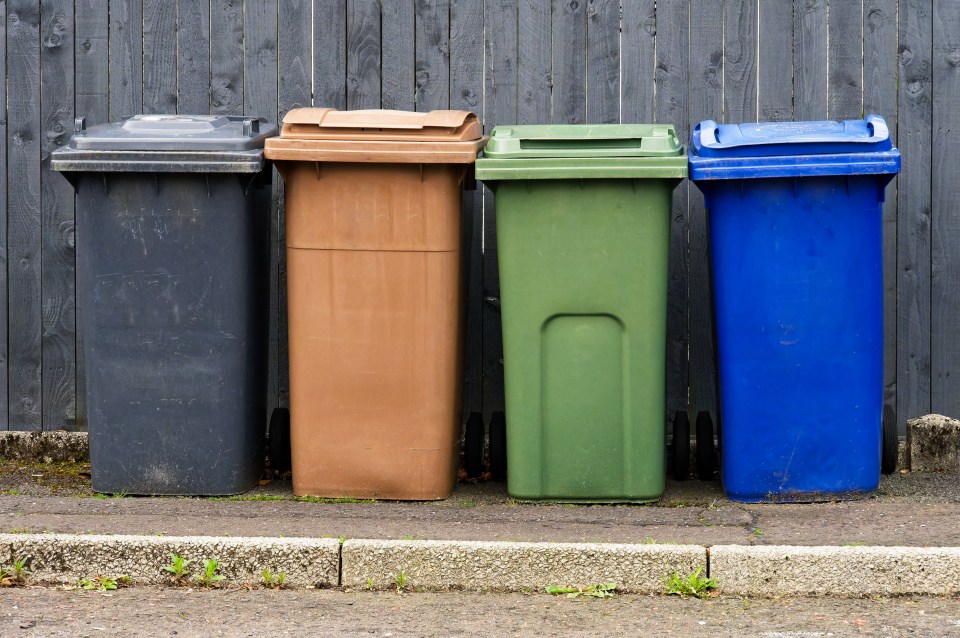 Four wheelie bins for recycling, in black, brown, green, and blue.