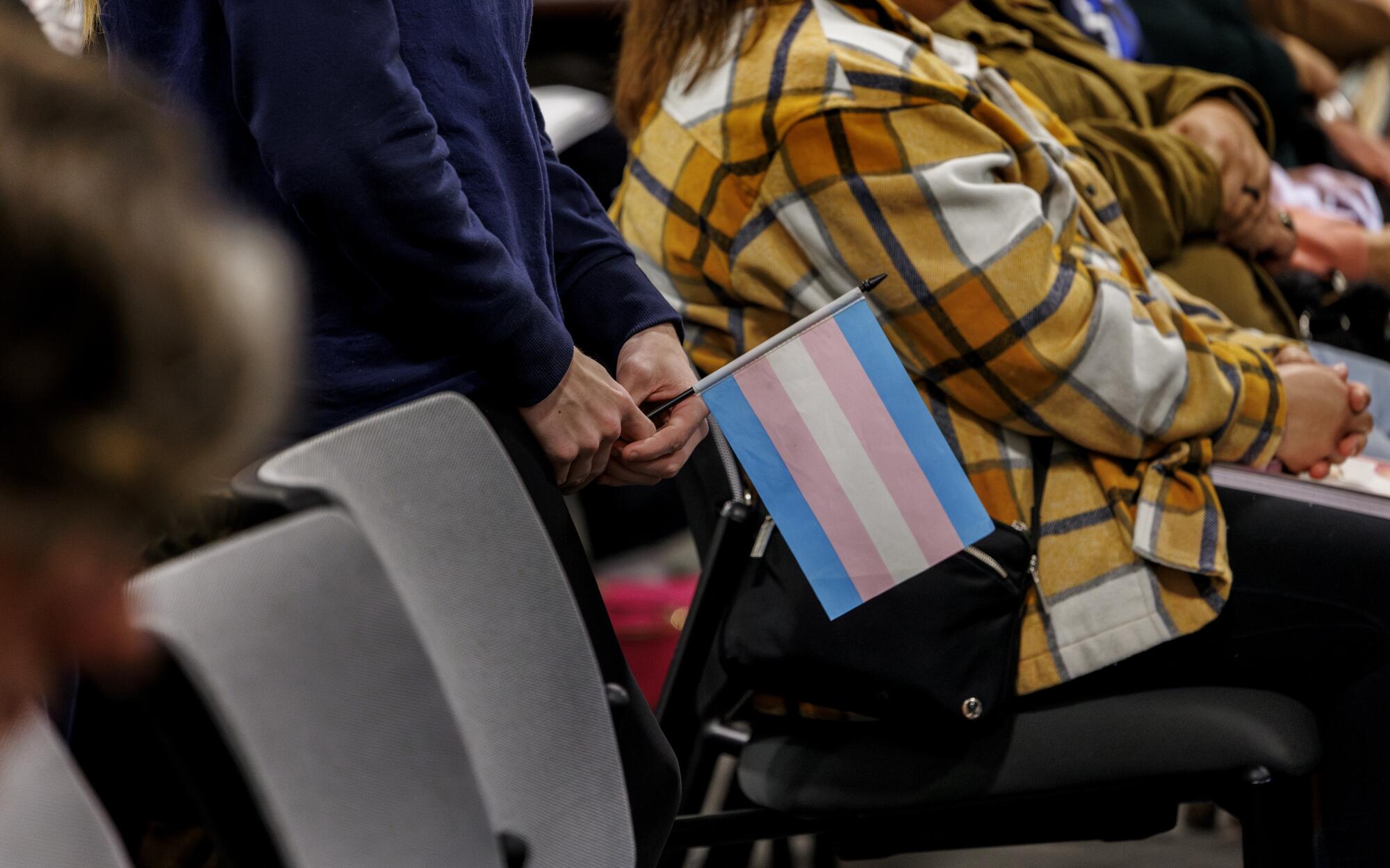 A person whose face is not pictured holds a flag with blue, pink, and white stripes. 