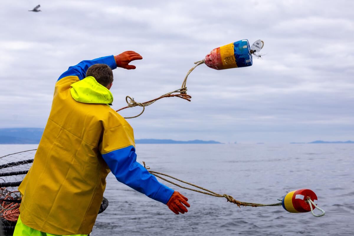 A crew member throws a crab buoy off a fishing boat. 