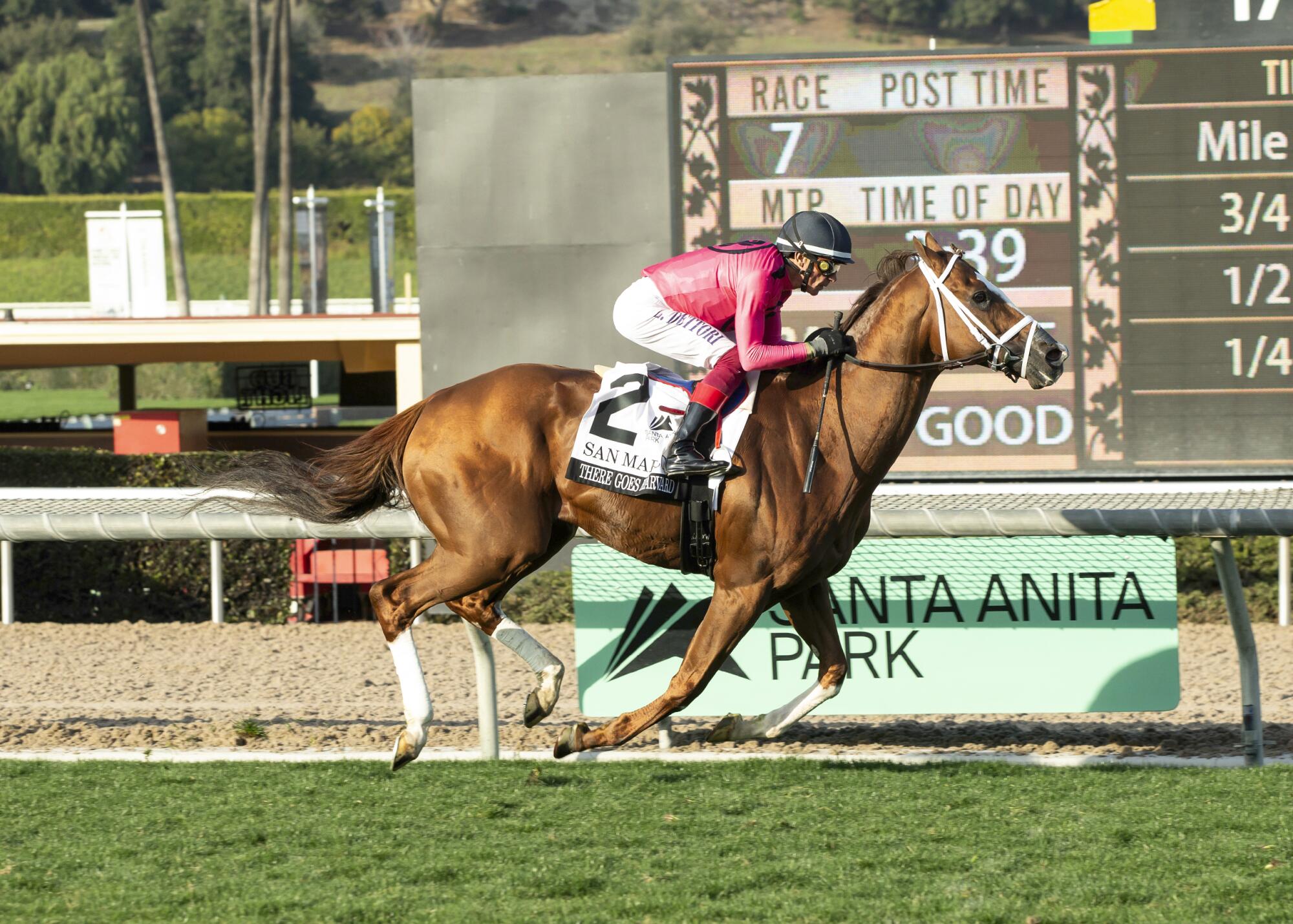 Lanfranco Dettori rides There Goes Harvard to victory in the Grade III $100,000 San Marcos Stakes at Santa Anita Park 