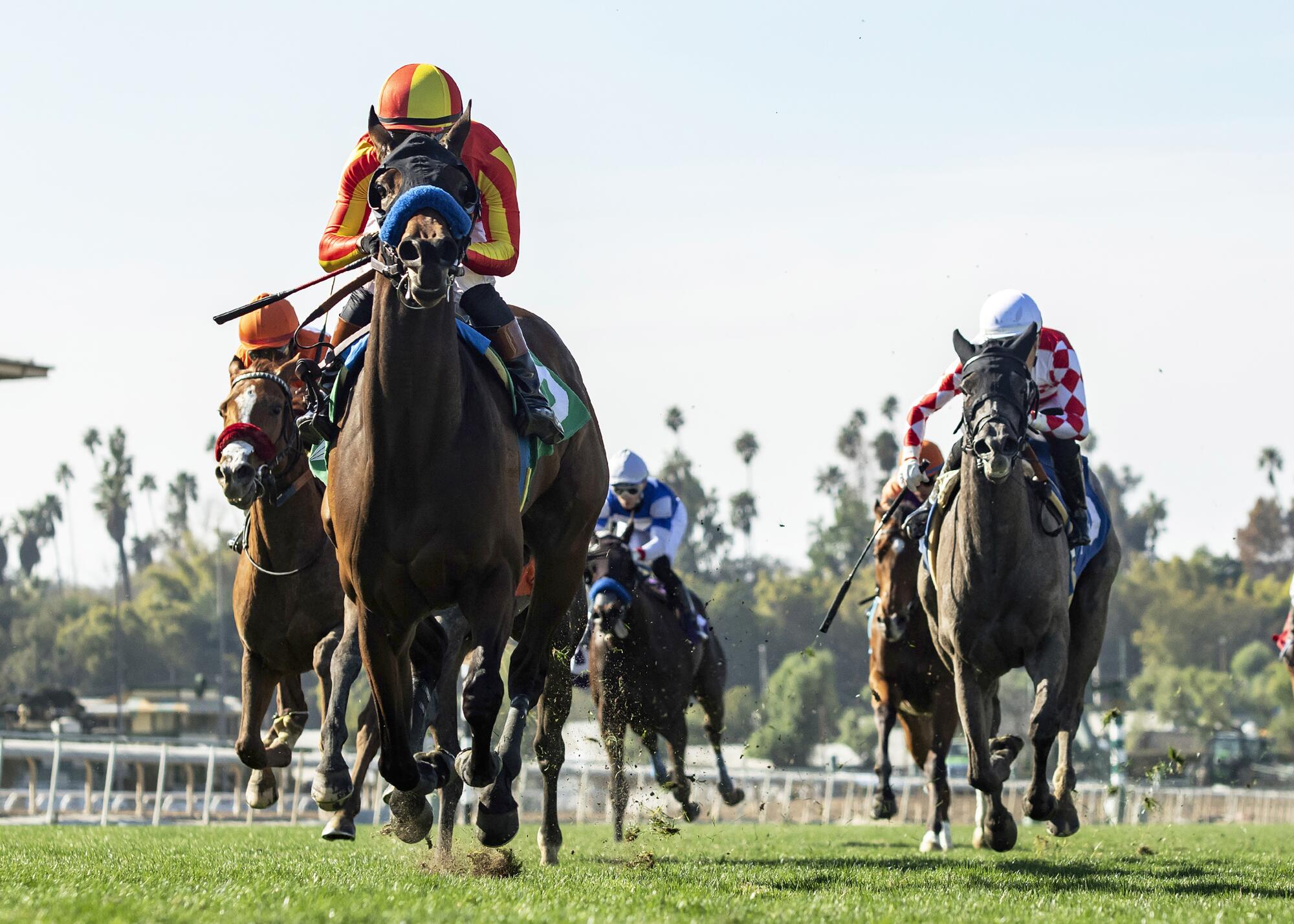 Jockey Flavien Prat rides Caalu to victory in the $100,000 Sweet Life Stakes horse race on Feb. 9 at Santa Anita Park.