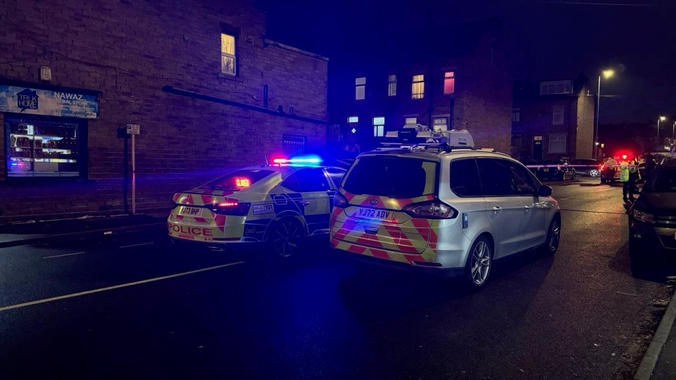 Police cars at the scene of a collision involving two child pedestrians.