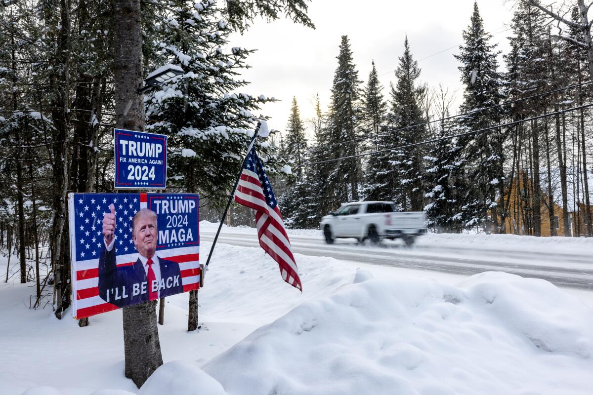 Sign affixed to a tree near a U.S. flag say "Trump 2024" and "Trump 2024 MAGA" with an image of a man in suit and red tie