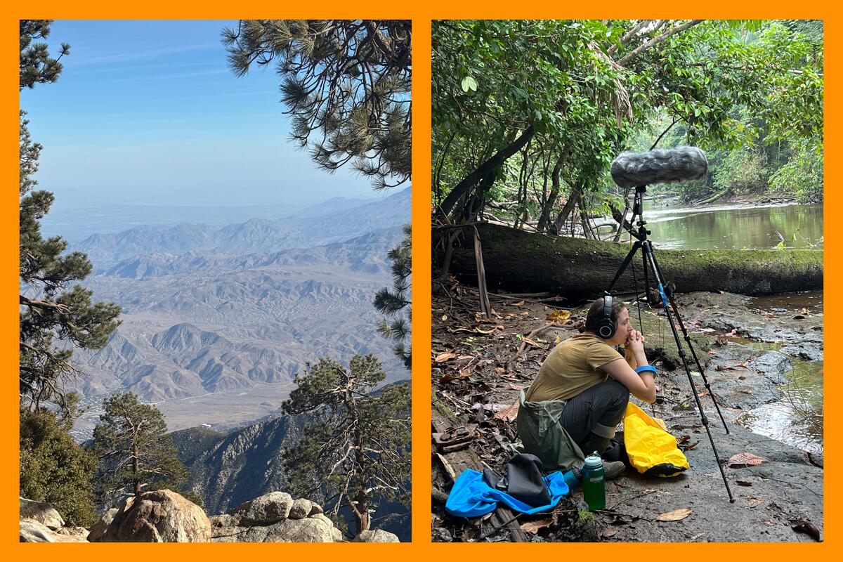 Two photos: A valley seen from the top of a mountain; A person squats next to their microphone near a river.