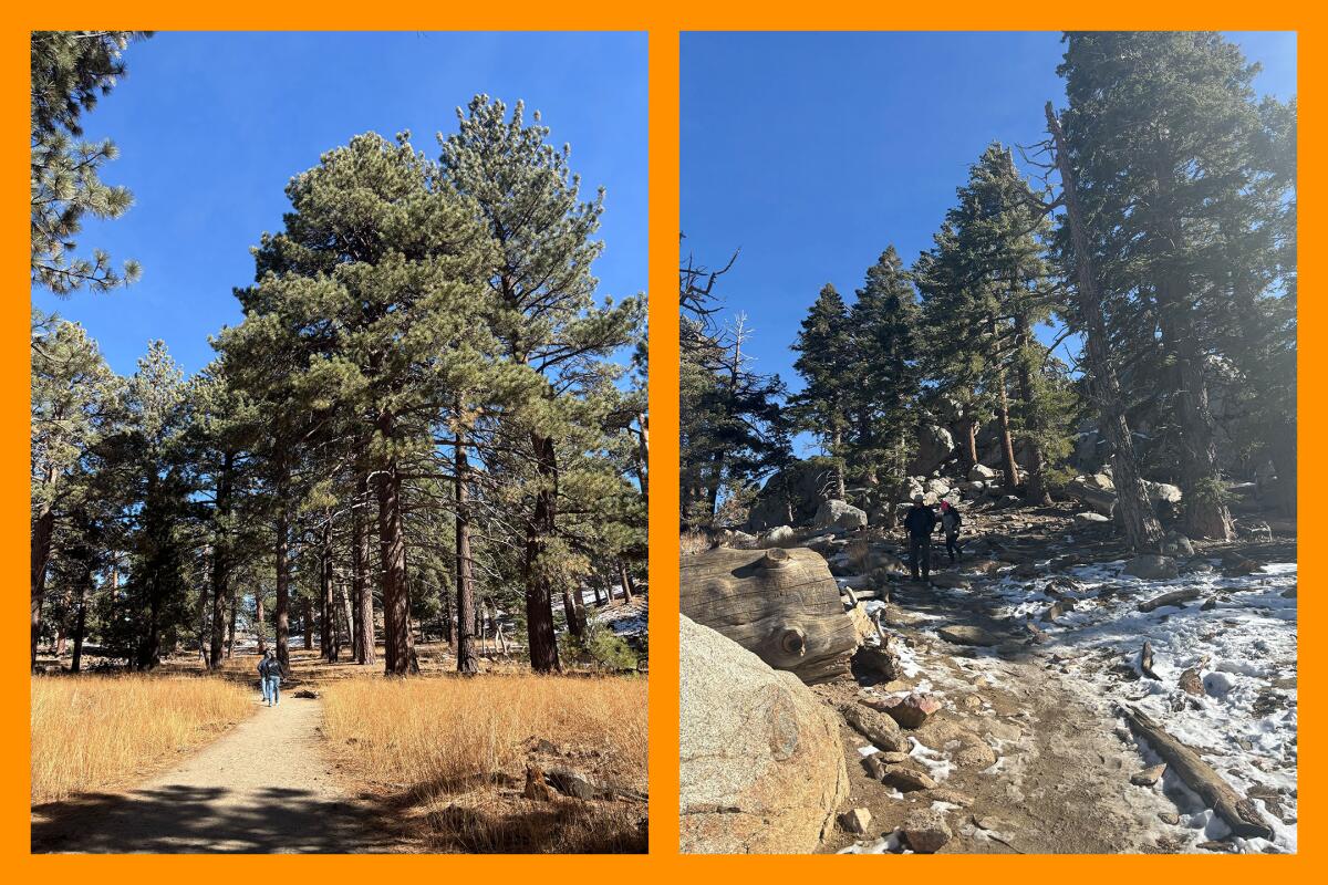 Two photos: A dusty trail leading to a patch of coniferous trees; A snow patch of trail heading up a rocky mountainside.