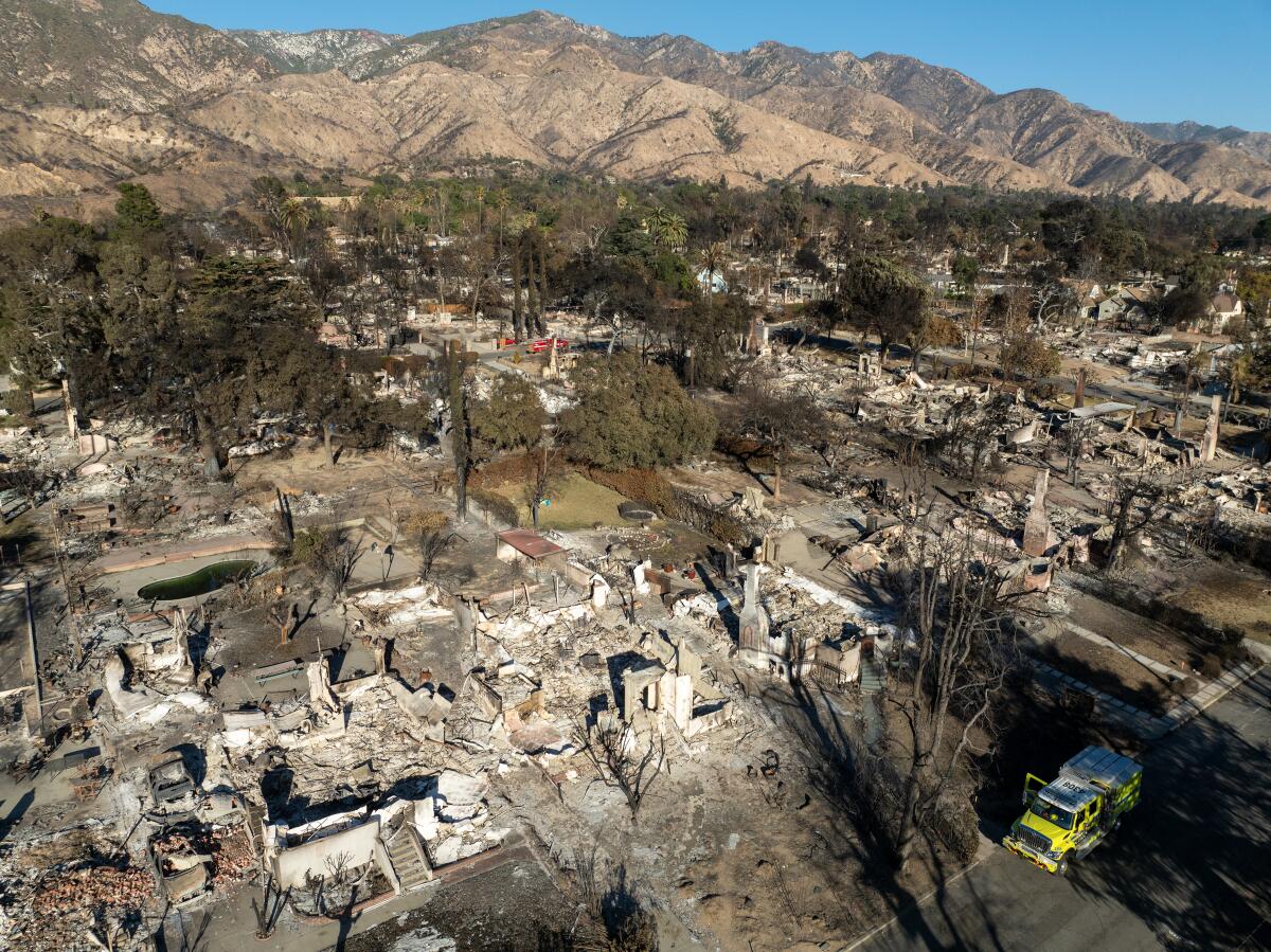 An aerial view of green trees surrounding the ashy remains of homes burned in the Eaton fire.