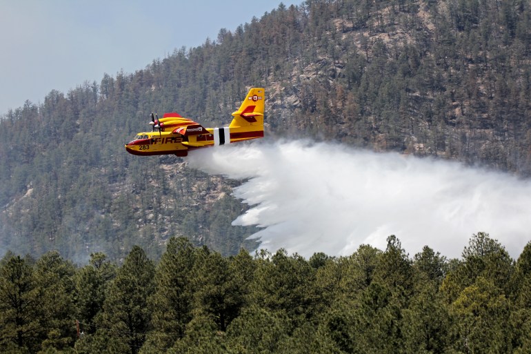 Forest dept firefighters