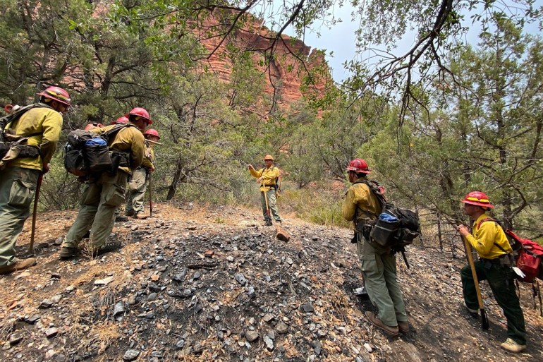 Forest dept firefighters