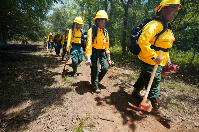 Forest dept firefighters