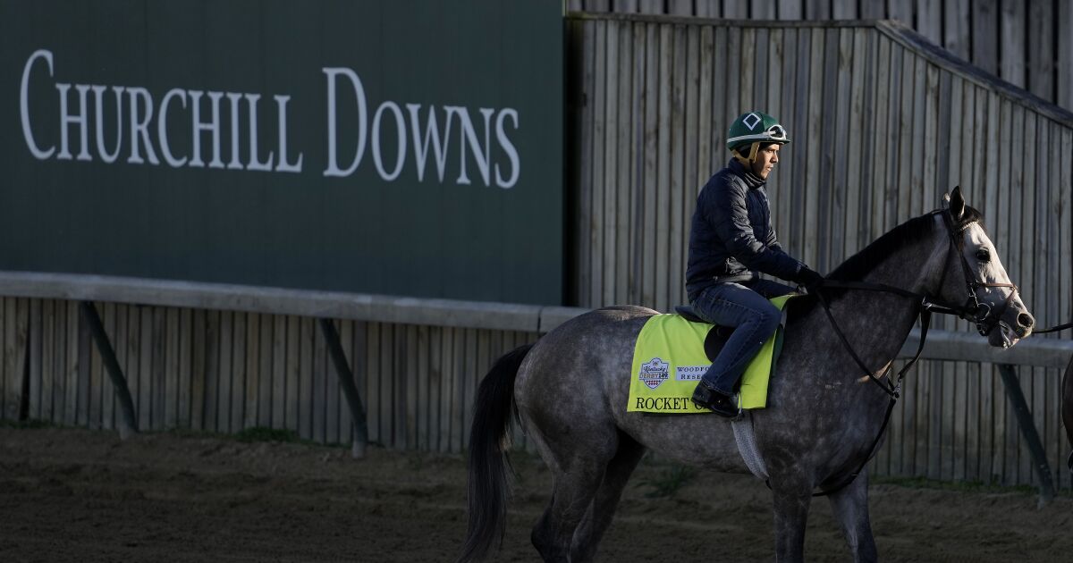 Kentucky Derby Four horse racing deaths cast shadow over race News