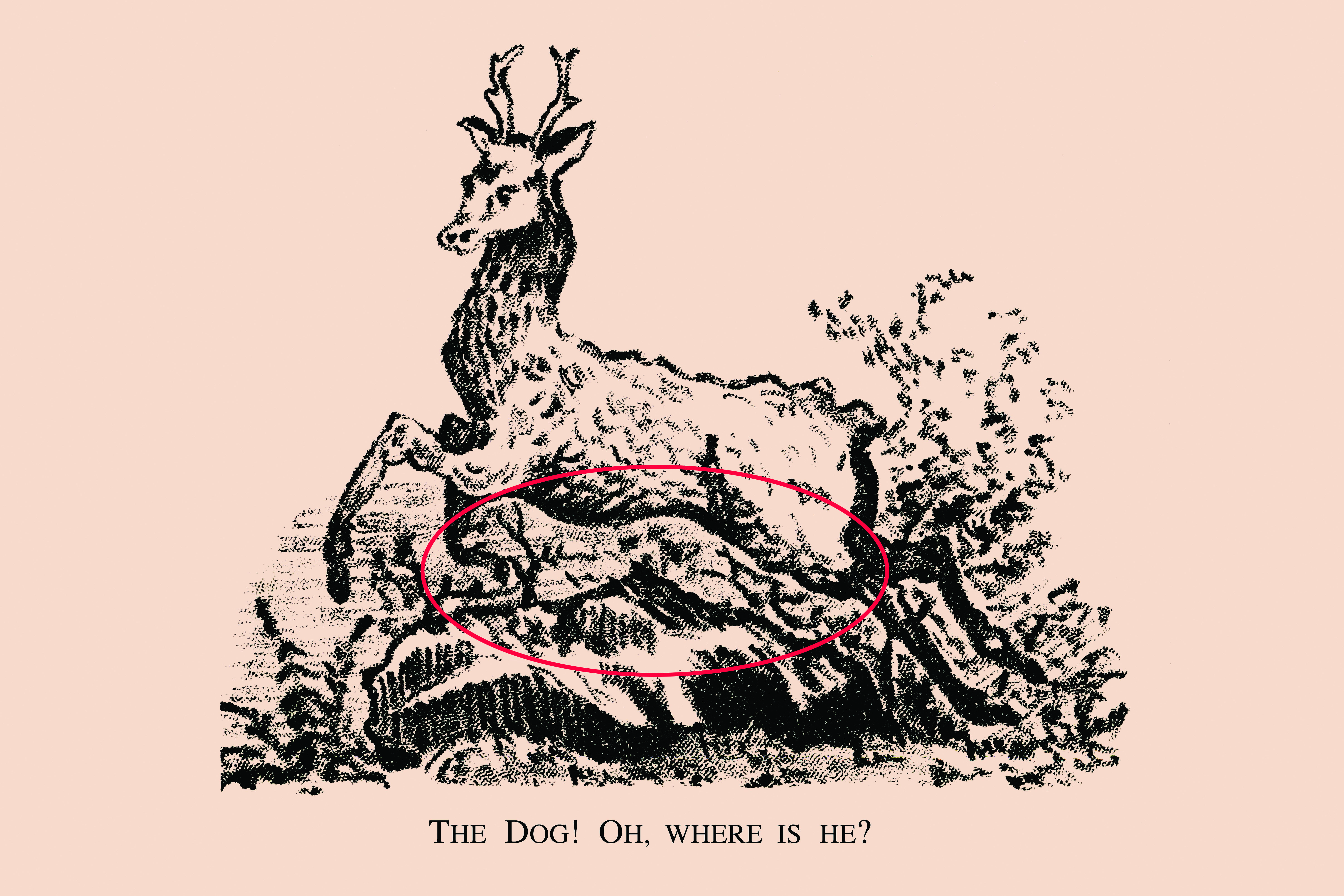 The dog is circled underneath the stag