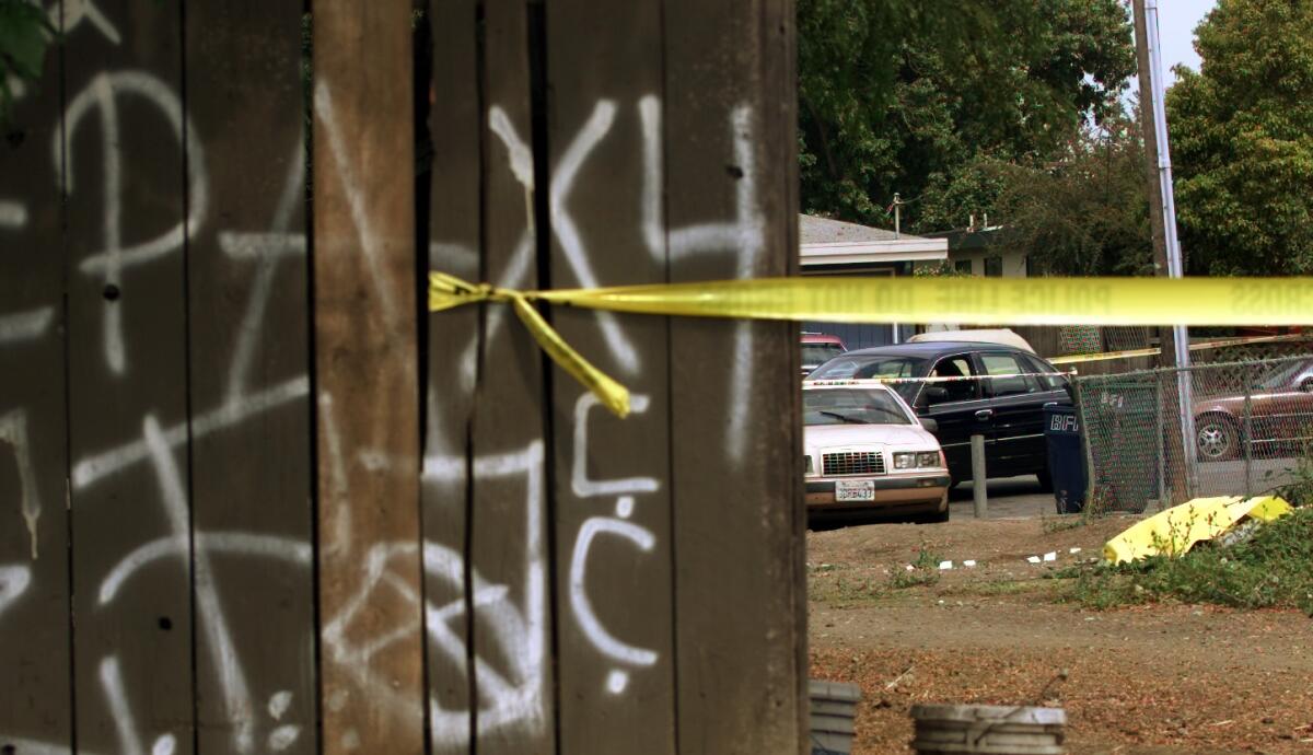 The body of a shooting victim lies just behind gang graffiti on a fence in an alley off Fordham Street in East Palo Alto