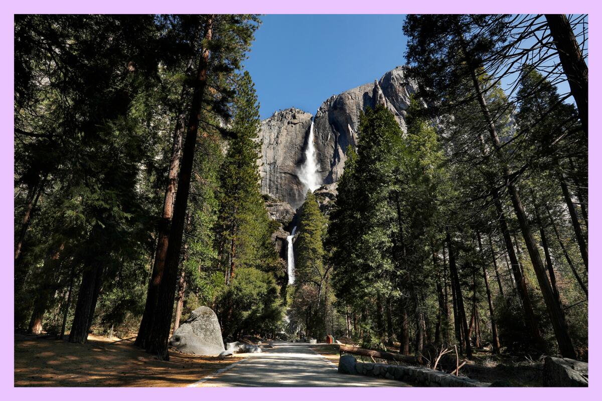 A view of Yosemite Falls.