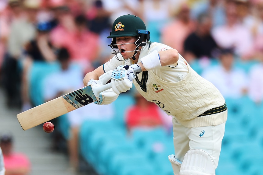 Steve Smith reacts after being hit in the stomach by a delivery