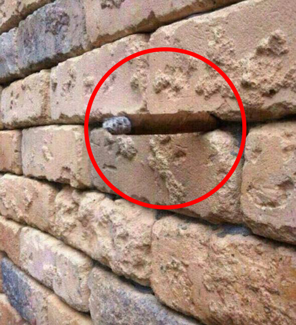 The hidden cigar is circled in red