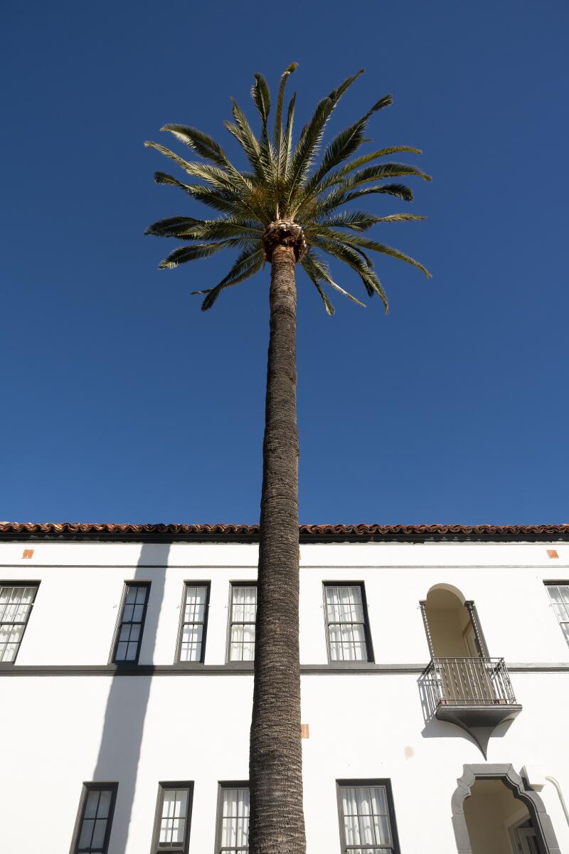 Murrieta Hot Springs Resort is a geothermal spa that goes back more than a century. 