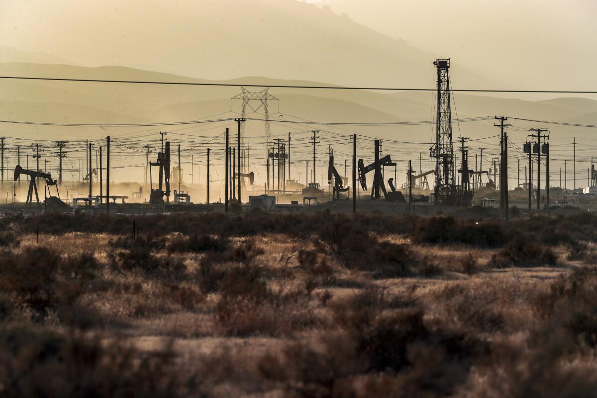 Oil pumpjacks and power lines fill the Elk Hills field in Kern County.