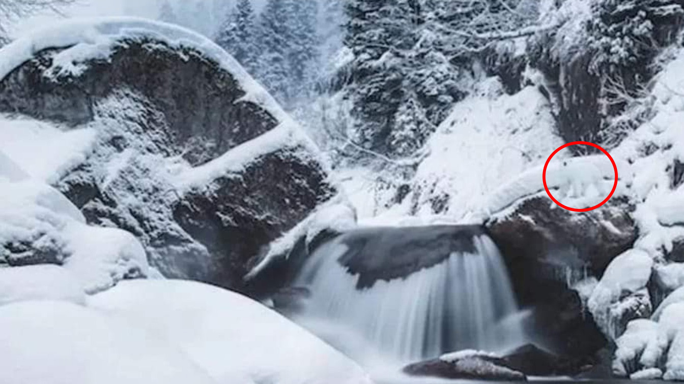 The polar bear is to the right of the frozen waterfall.