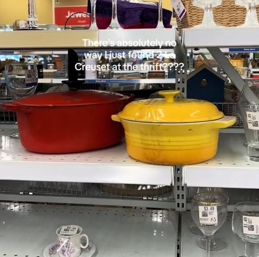 She showed off the expensive kitchenware she found