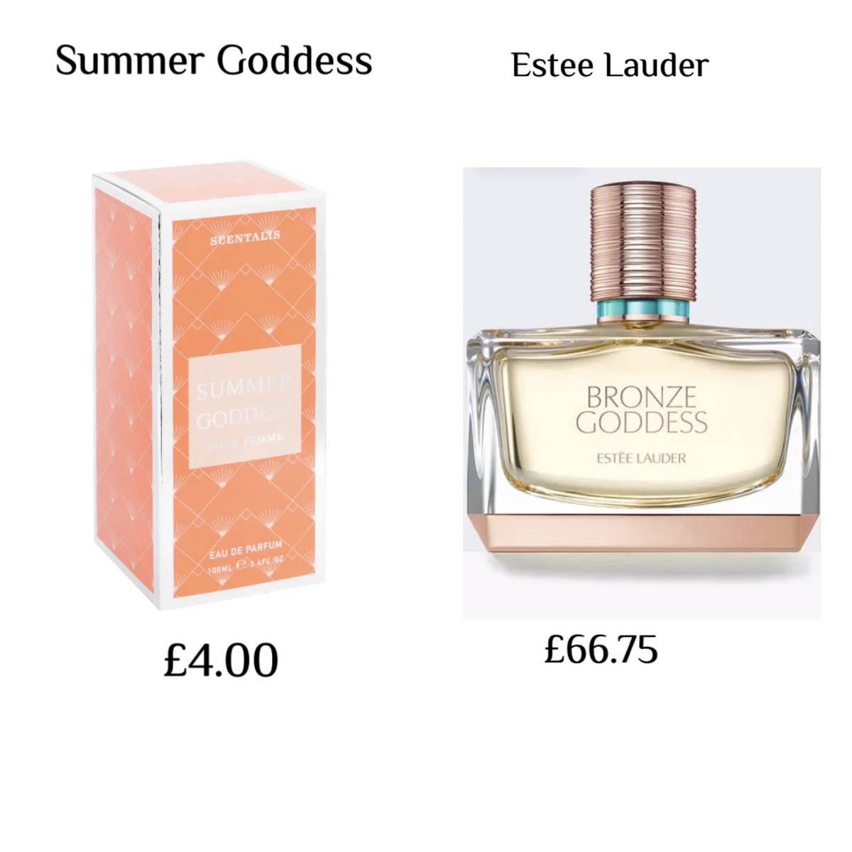 Poundland is also selling an Estee Lauder dupe