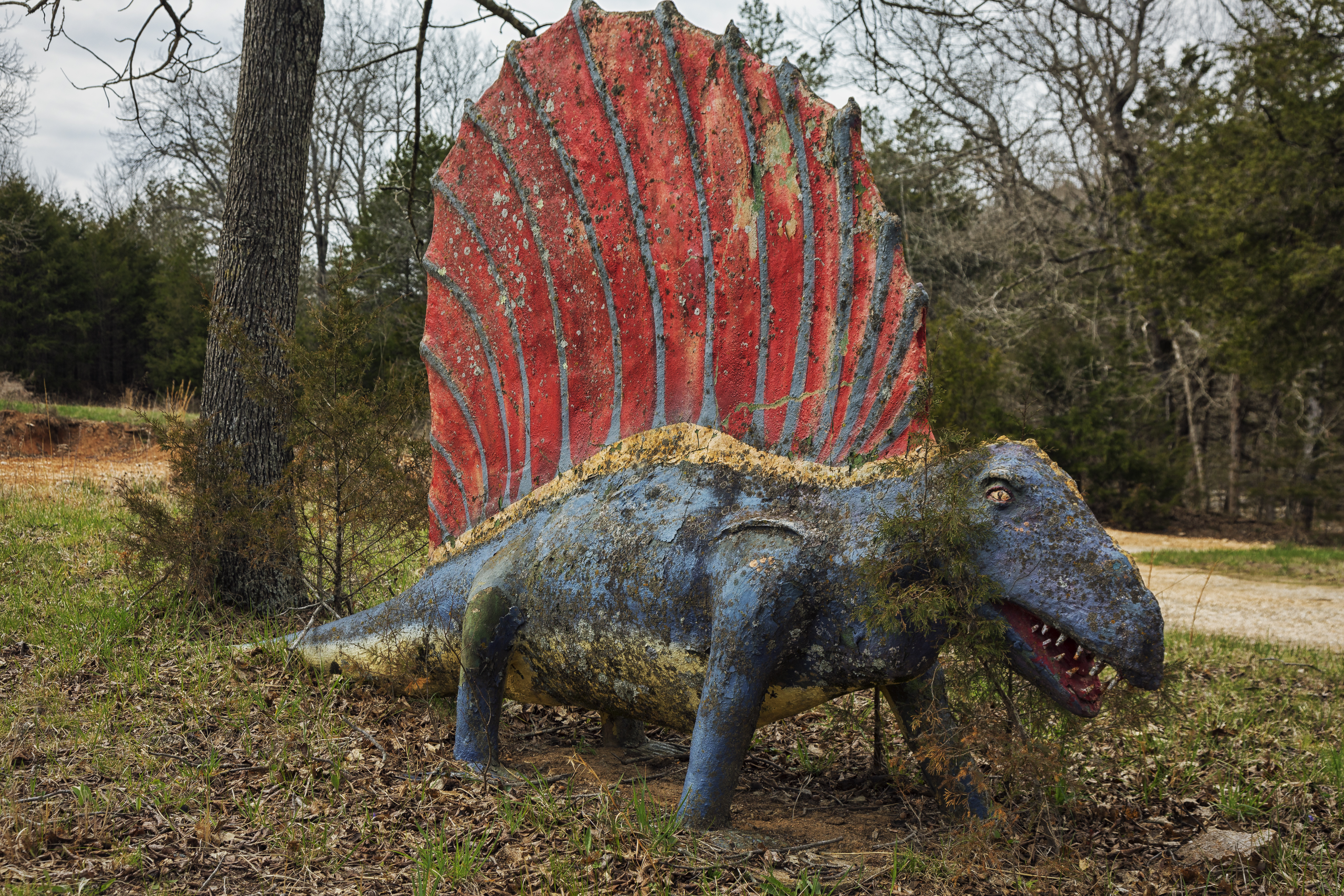 Dinosaur World in Beaver, Arkansas, was once a tourist hotspot with about 100 life-size sculptures of dinosaurs