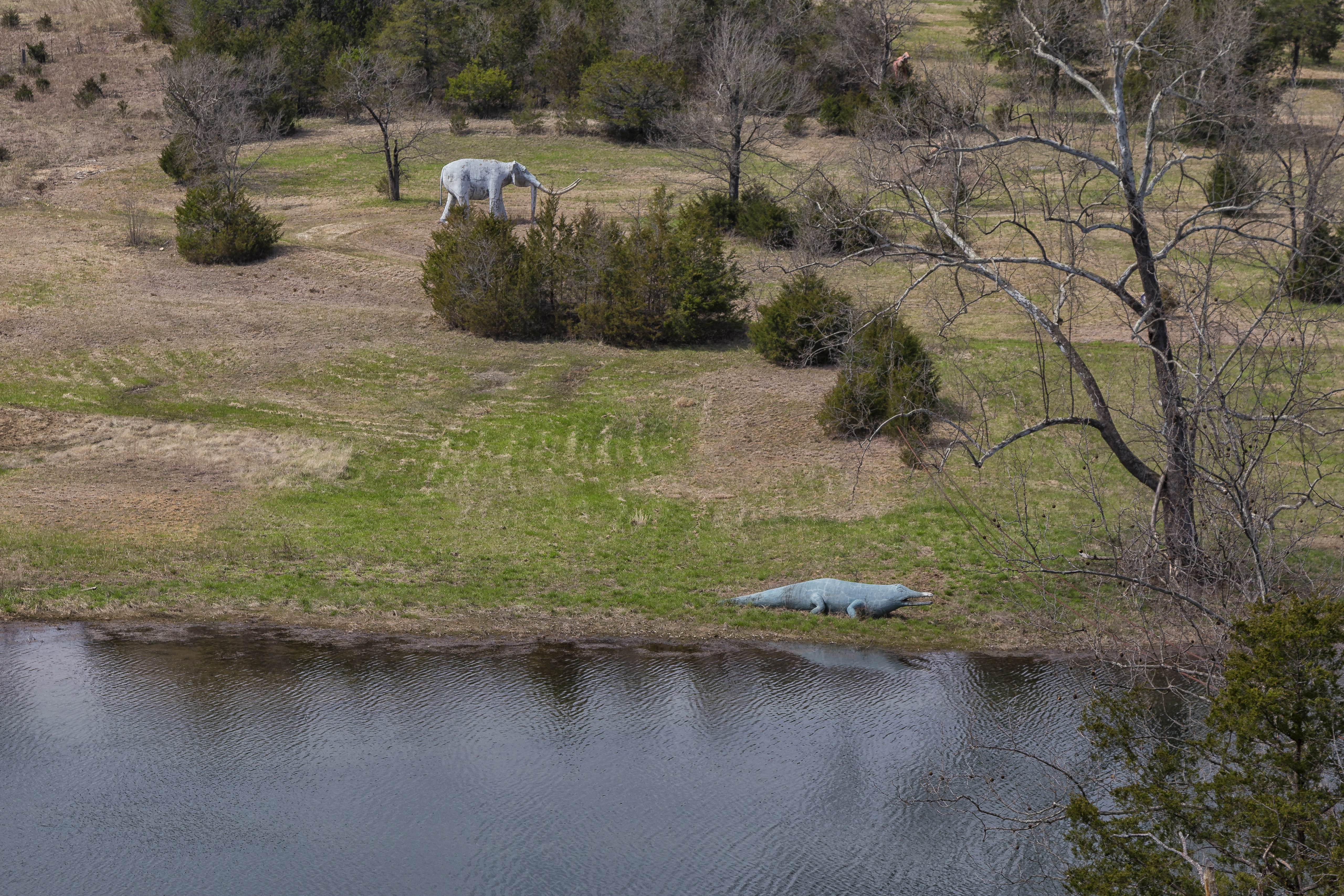 Eerie images show the dinos scattered around