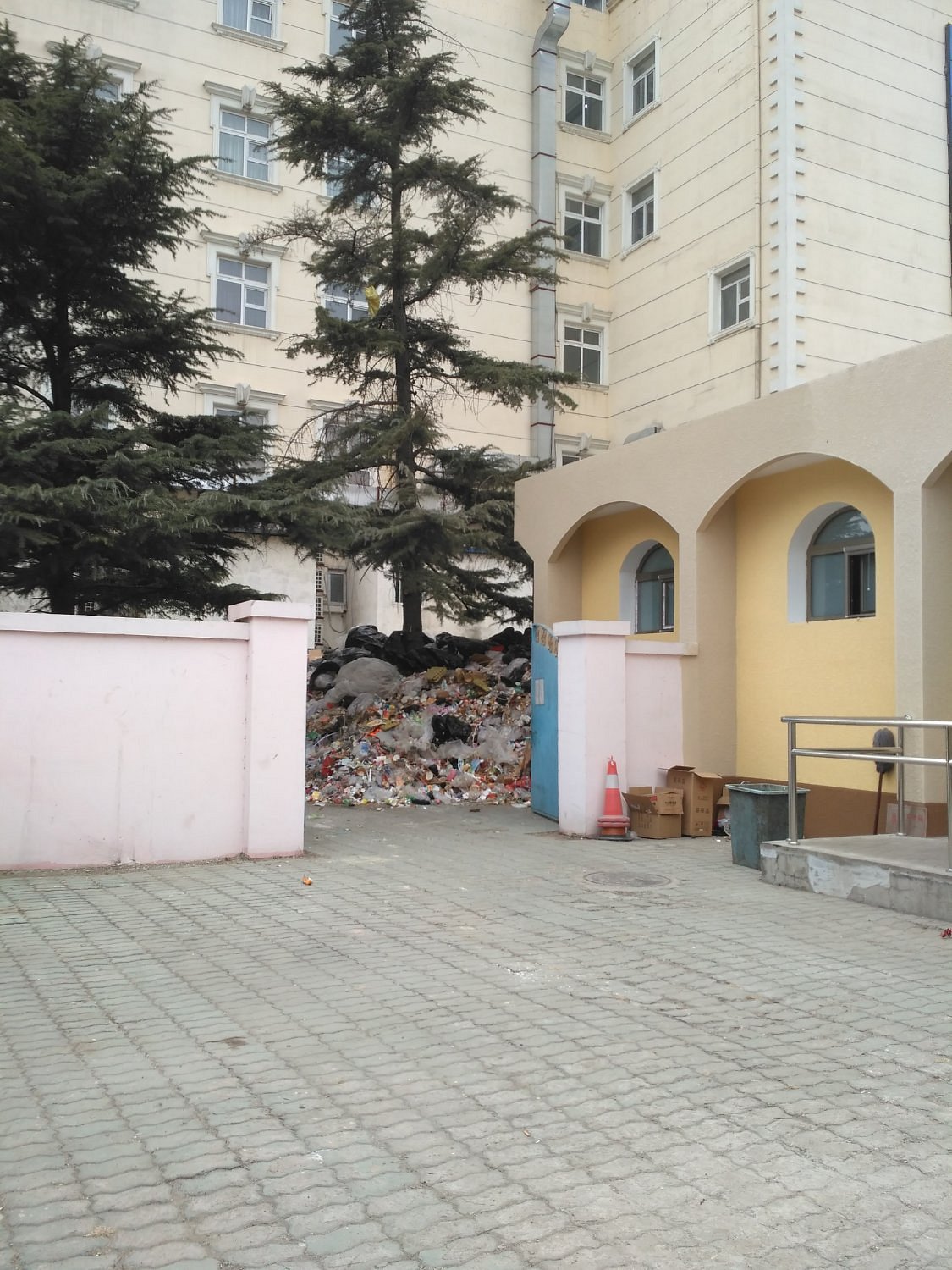 Rubbish lays uncollected, piled up beneath trees