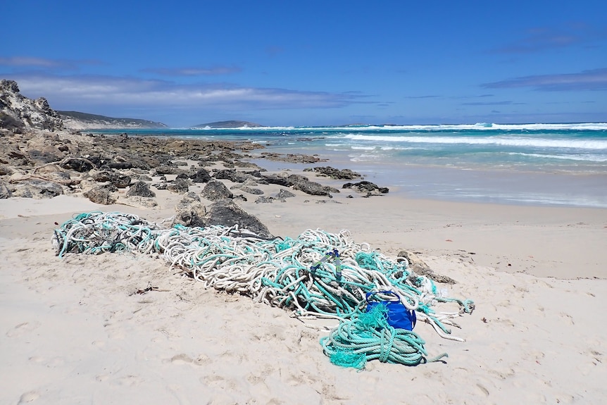 A mass of rope on a beach