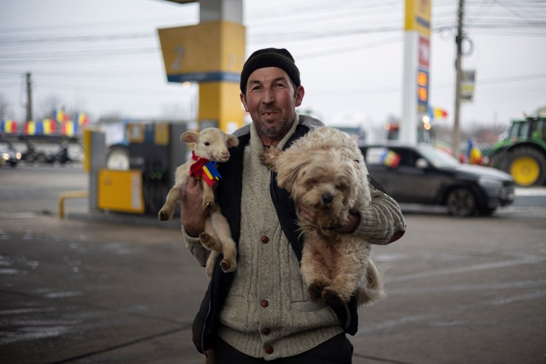 Ghiocel, a 47-year-old farmer who travelled from Jilavele to Afumati with a lamb to protest on January 23rd