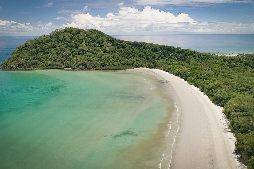 Rainforest covered headland juts into sea