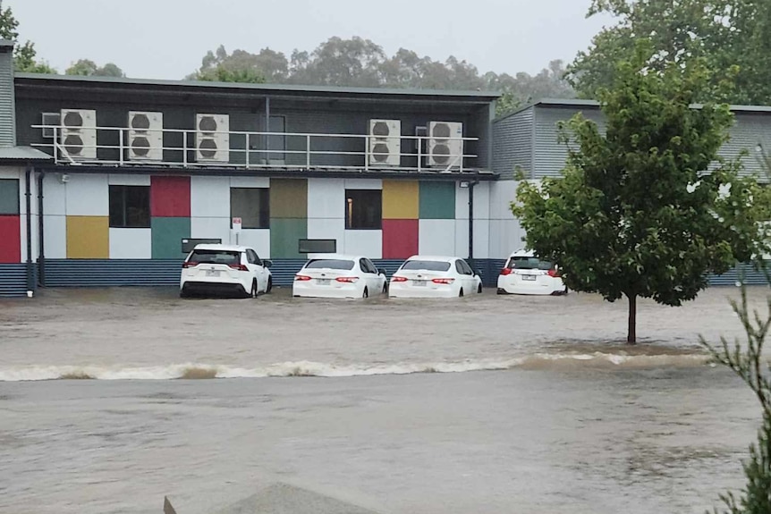 A line of parked cars submerged in flooded waters in front of a building.